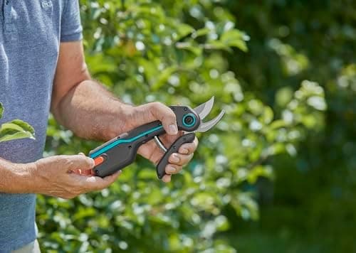 Gardena AssistCut Akkubetriebene Gartenschere 25mm für Zweige Jungen Trieben Blumen USB-C Ladekabel