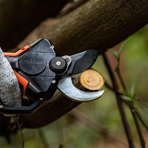Kebtek Professionelle Gartenschere für-professionelle-Beständigkeit-Hagel-und-Eisschicht-Aufrissen
| Kebtek Professione