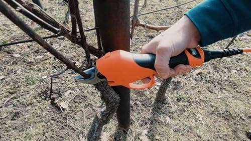 STREND PRO Akku Gartenschere max 40mm Schnitte | Professional | 10 Stunden Batterie-Leben