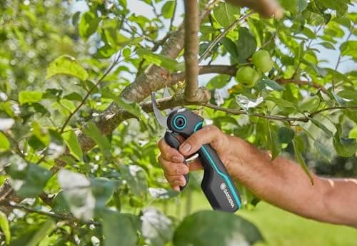 Gardena AssistCut Akkubetriebene Gartenschere 25mm für Zweige Jungen Trieben Blumen USB-C Ladekabel