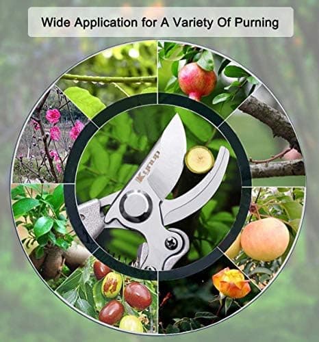 Kynup Profi Gartenschere mit SK-5 Stahl & Sicherungssperre für professionelle Baumwärter