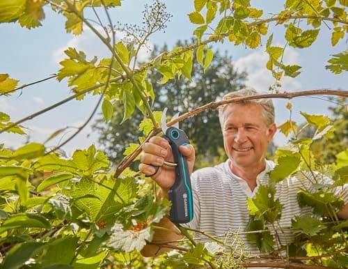 Gardena AssistCut Akkubetriebene Gartenschere 25mm für Zweige Jungen Trieben Blumen USB-C Ladekabel