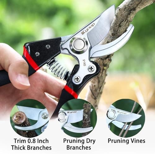 Kynup Profi Gartenschere mit SK-5 Stahl & Sicherungssperre für professionelle Baumwärter