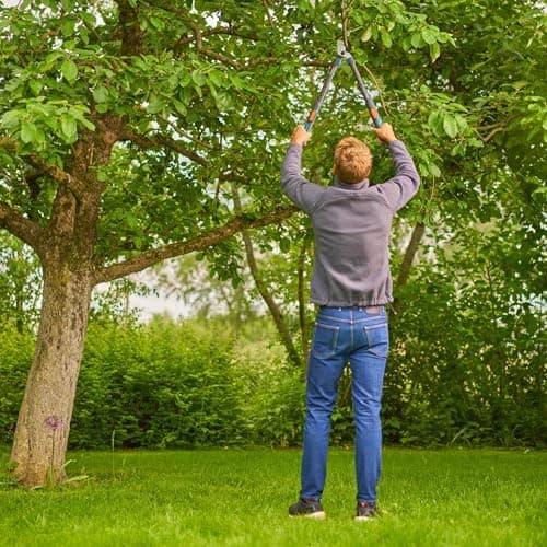 Gardena Astschere TeleCut Pro S | Verlängerbare Teleskop-Astschere | Präzisionsgeschliffene Klingen (12040-88)  
Gardena